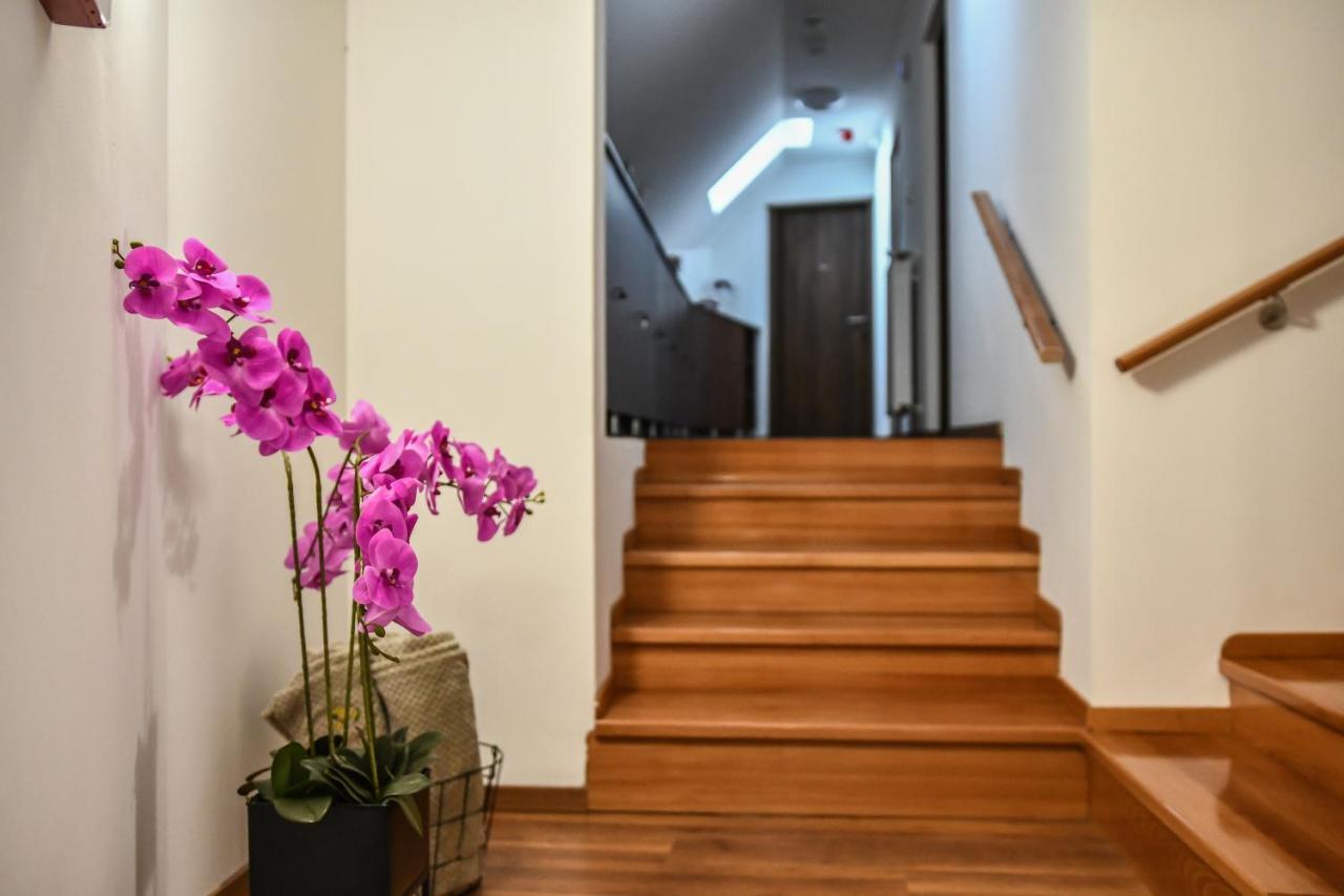 토코이 E-Vasko Panzio Borpince B&B 외부 사진